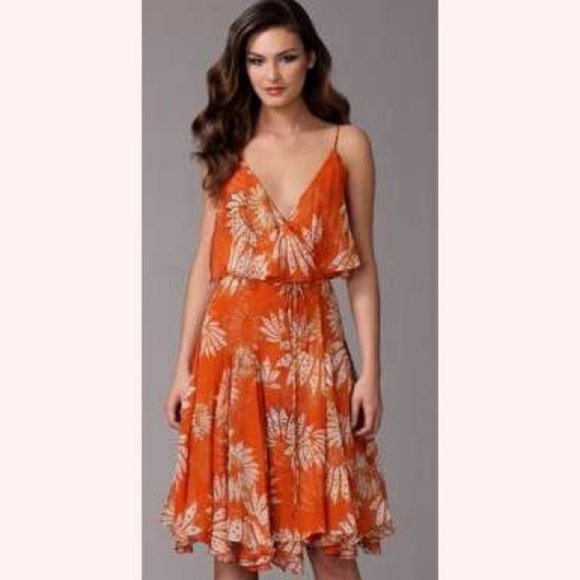 Diane Von Furstenberg Tupai Chiffon Wrap Dress Sz 8 - Picture 4 of 4